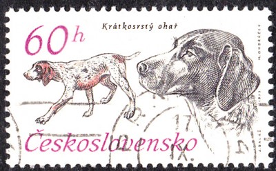 20170417_0001.jpg