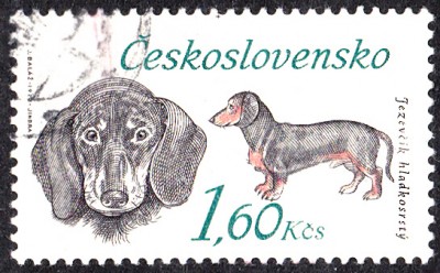 20170417_0002.jpg