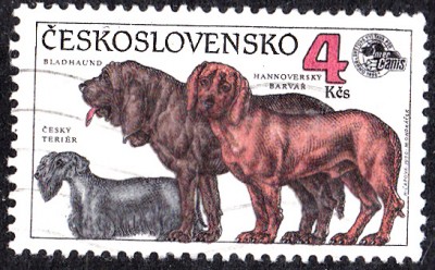 20170417_0004.jpg