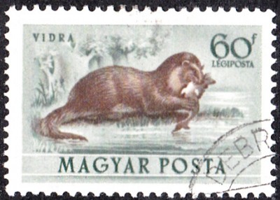 20170417_0021.jpg