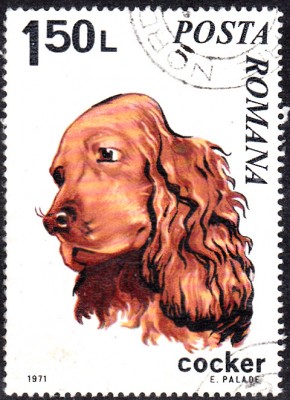 20170417_0024.jpg