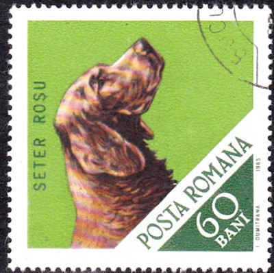 20170417_0008.jpg