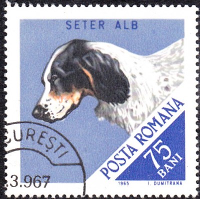 20170417_0009.jpg