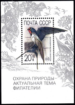 20170425_0001.jpg