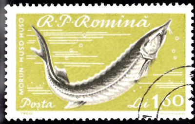 20170411_0020.jpg
