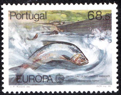 E1986_0003.jpg