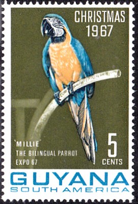 20170707_0011.jpg (158.79 KiB) 1710-mal betrachtet 20170707_0011.jpg