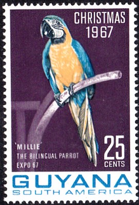 20170707_0014.jpg (168.63 KiB) 4392-mal betrachtet 20170707_0014.jpg