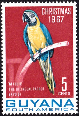 20170707_0012.jpg (176.57 KiB) 1709-mal betrachtet 20170707_0012.jpg