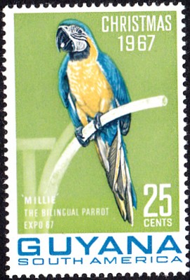 20170707_0013.jpg (153.21 KiB) 1709-mal betrachtet 20170707_0013.jpg