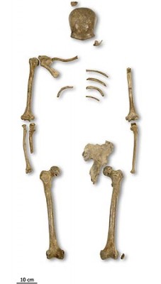 tempx2_neander_knochen_g.jpg