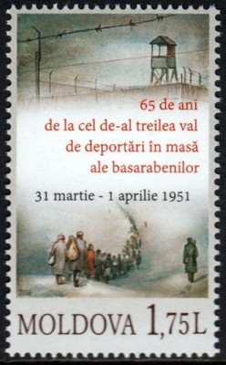 MOLSETM16P08.jpg