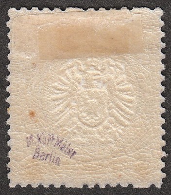 IMG5_0004.jpg
