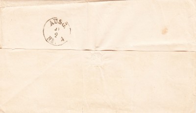 IMG5_0003.jpg