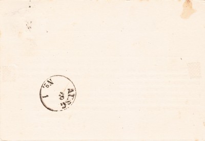 IMG5_0004.jpg