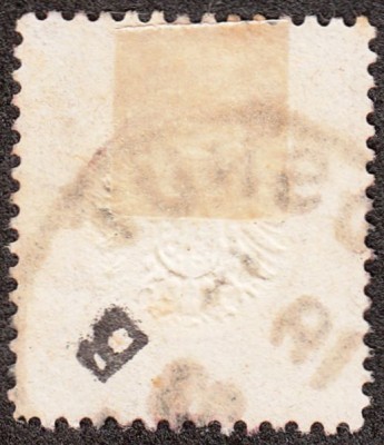 IMG5_0001.jpg