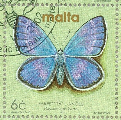 malta_2002_bläuling_6c.jpg