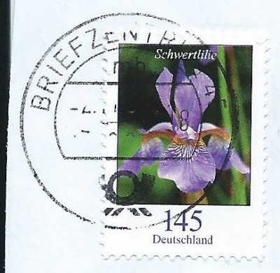 21a.jpg