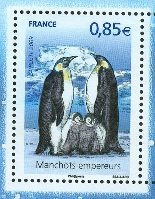 france_2009_kaiserpinguin1.jpg
