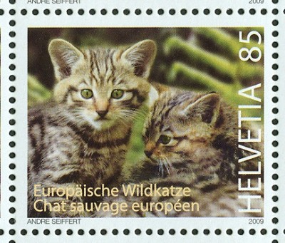 schweiz_2009_wildkatze_85rappen.jpg