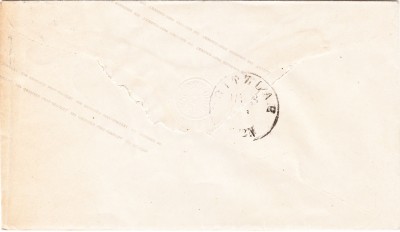 IMG5_0001.jpg