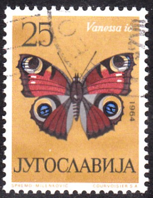 20180305_0011.jpg