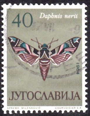 20180305_0013.jpg