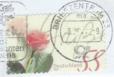 36e.jpg