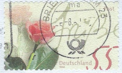 36i.jpg
