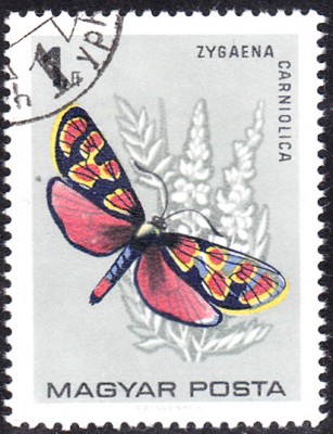 20180307_0014.jpg