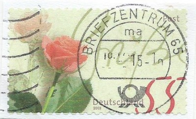63g.jpg
