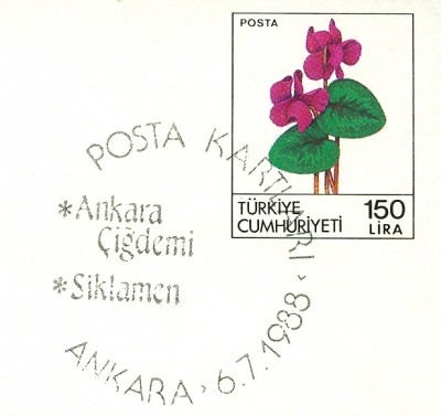 türkische-postkarte-alpenfeilchen-detail.jpg