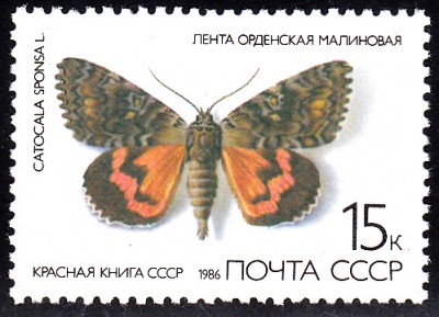 20180324_0005.jpg