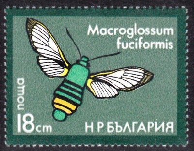 20180326_0011.jpg