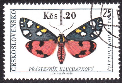 20180330_0011.jpg