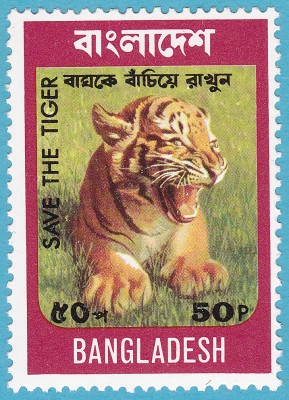 Bengaltiger_0002.jpg