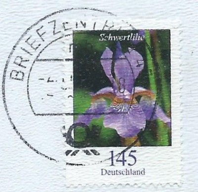 87b.jpg
