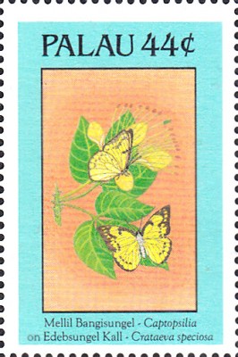 20180420_0003.jpg