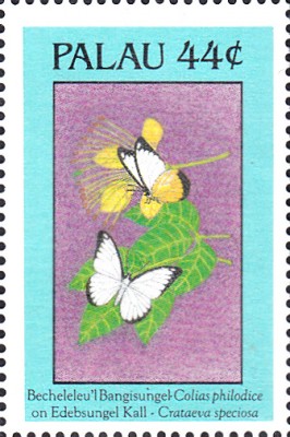 20180420_0004.jpg