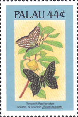 20180420_0005.jpg