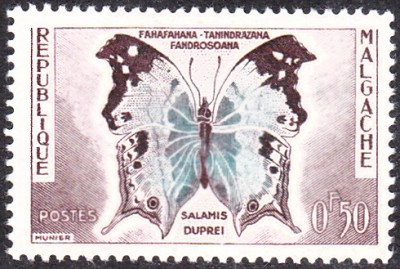 20180430_0025.jpg