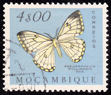 20180501_0009.jpg