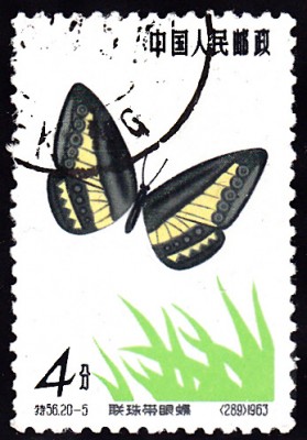 20180512_0010.jpg