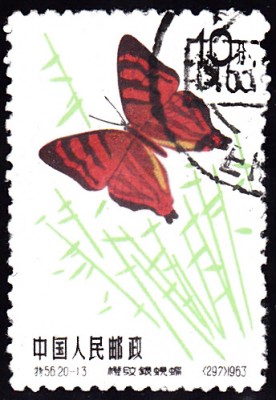 20180512_0022.jpg