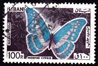 20180517_0006.jpg