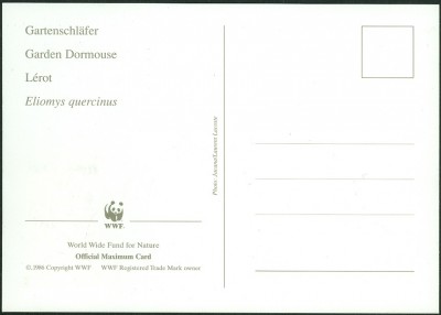 cs-gartenschläfer3.jpg