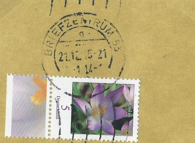 81i.jpg