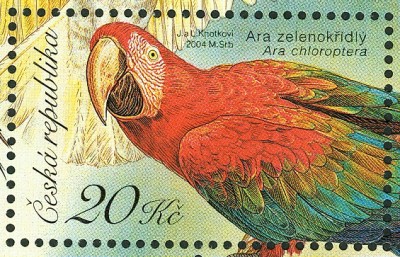 tschechische-republik_ziervögel_ara.jpg