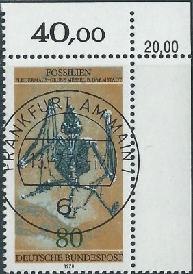 176b.jpg
