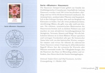 Blumen_220_Hauswurz_small.jpg